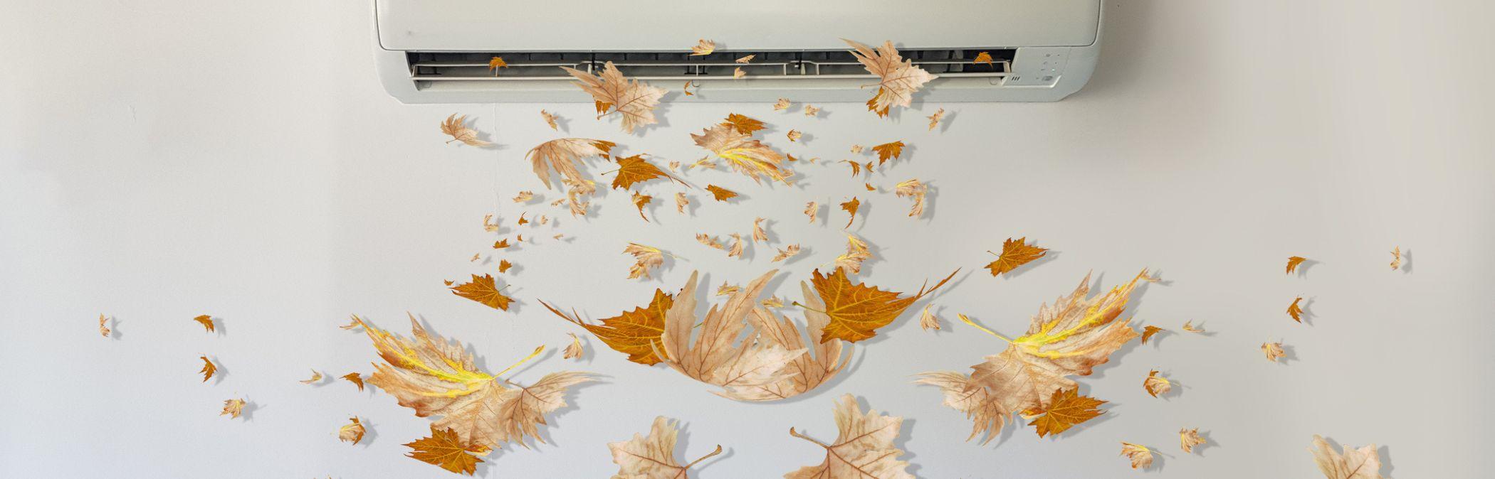 Autumn leaves blowing out of an airconditioner unit