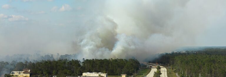 Florida Wildfire Banner