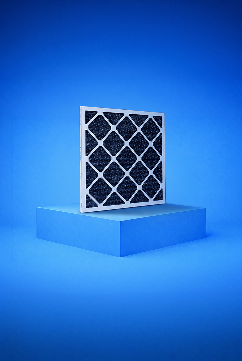 Carbon pleated filter